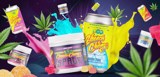 Types of Edibles: The Best Bites for Your Next High