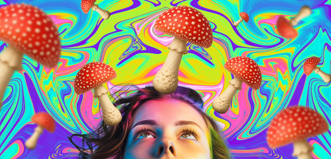 Amanita muscaria Effects: What to Expect from This Legal Mushroom