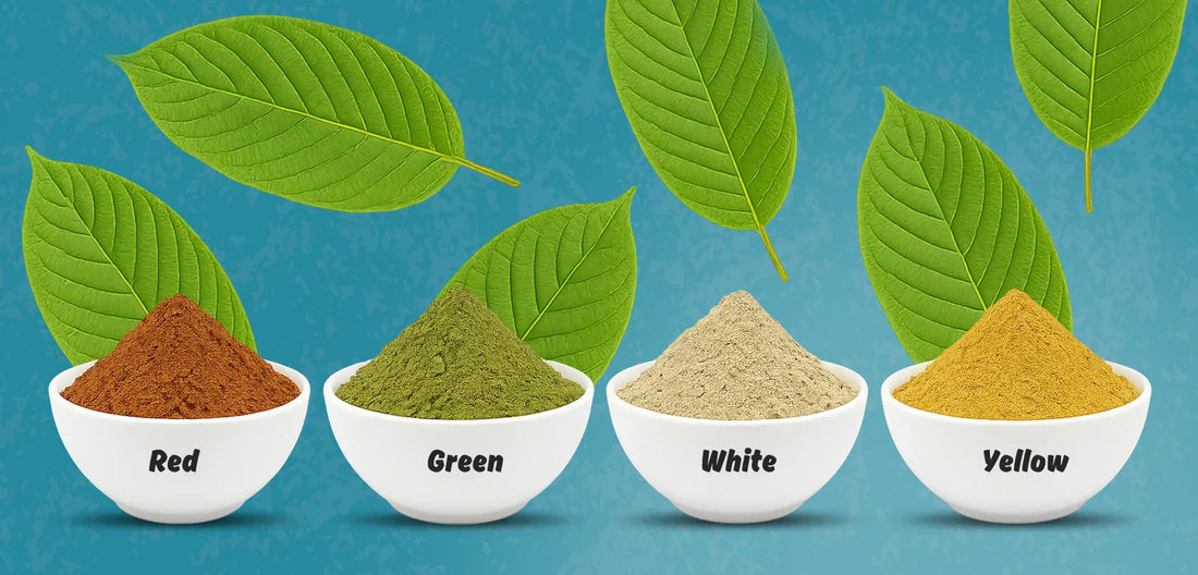 Kratom Strain Chart: Comparing Effects, Colors, and What to Expect