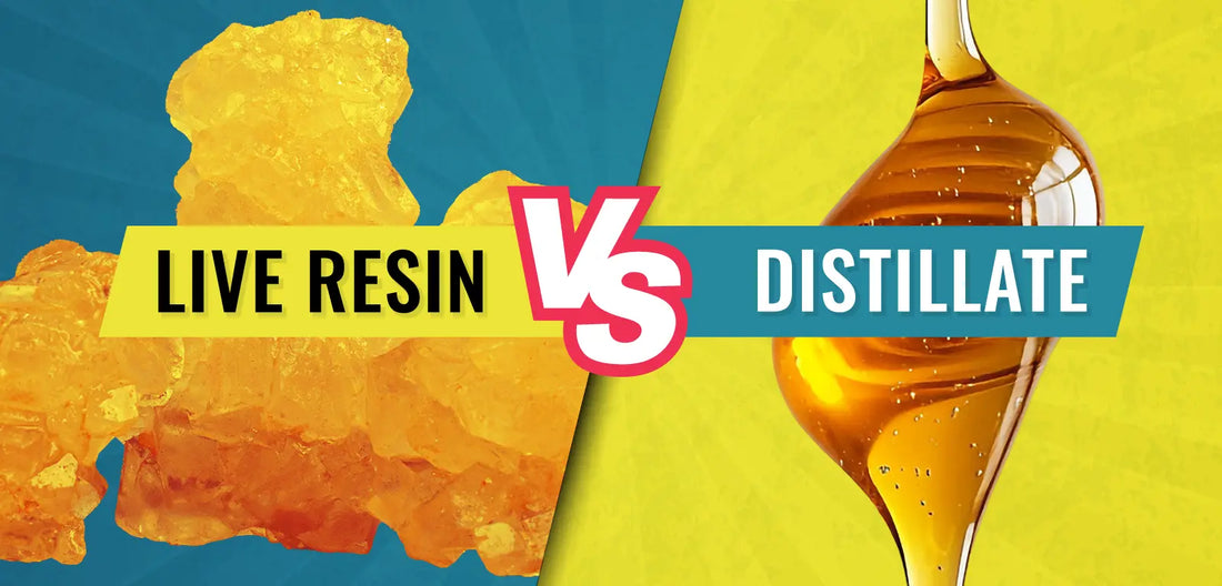 Live Resin vs. Distillate: Comparing Extraction Methods, Flavor Profiles, and Effects