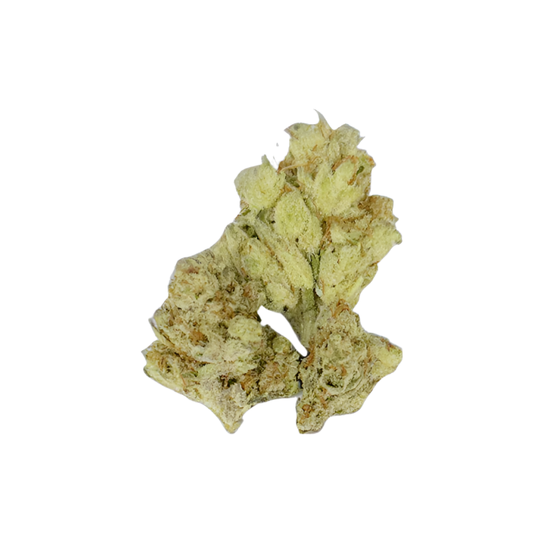 Samoa