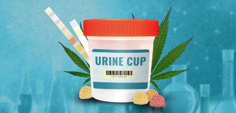 Does HHC Show Up on a Drug Test? Detection Methods & Challenges