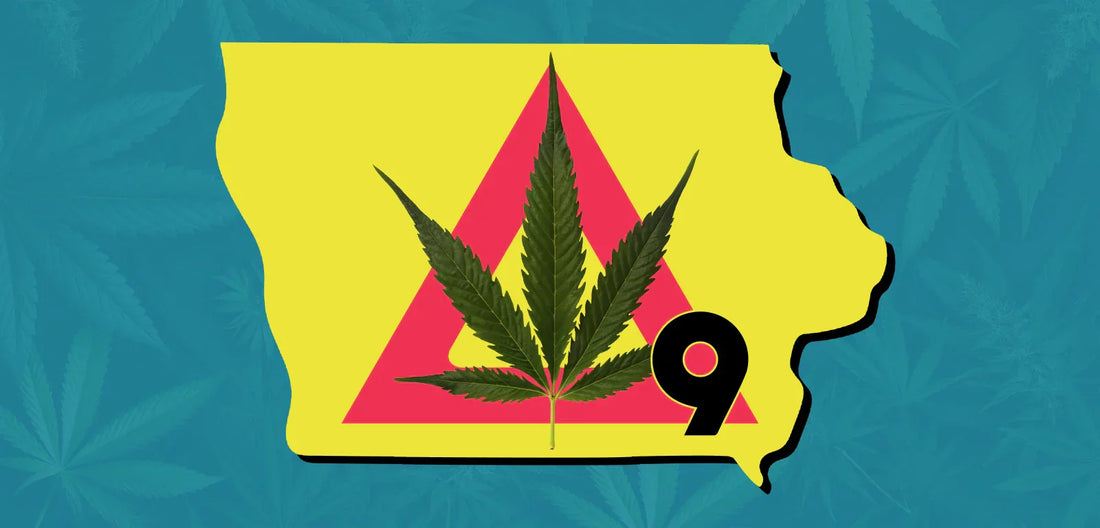 Is Delta-9 Legal in Iowa? Yes, If You Stick to the Fine Print Cheech & Chong's Global Is Delta-9 Legal in Iowa? Yes, If You Stick to the Fine Print Cheech & Chong's Global