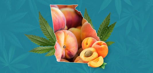 Is THCa Legal in Georgia? New Laws & Legal Alternatives