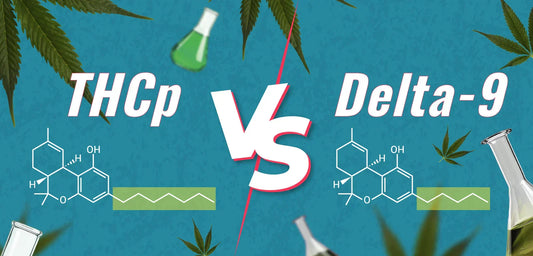 THCp vs. Delta-9: How They Compare in Potency, Effects, and More