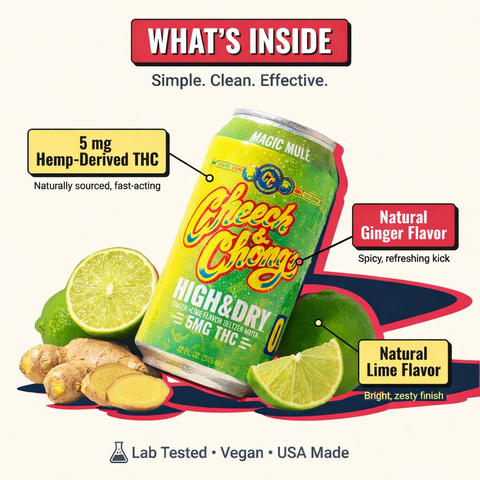 High & Dry Delta-9 THC Seltzer - Magic Mule (4-pack, 20 mg)