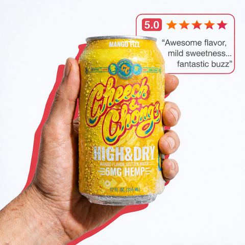 High & Dry Delta-9 THC Seltzer - Mango Fizz (4-pack, 20 mg