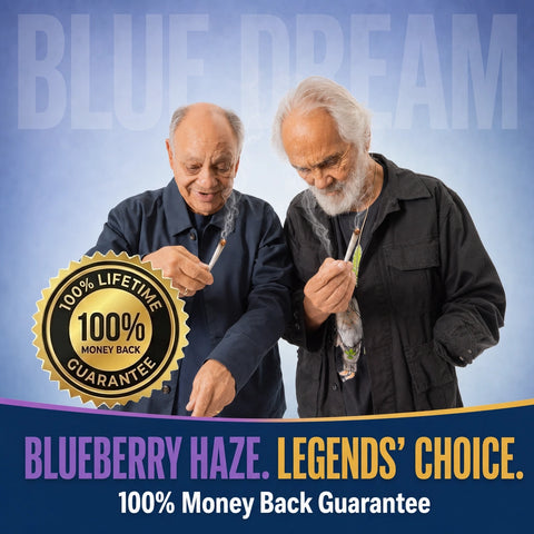 Blazers Blue Dream Mini THCa Prerolls (5-pack, 3.75g TW) – Cheech Blazers Blue Dream Mini THCa Prerolls (5-pack, 3.75g TW) – Cheech