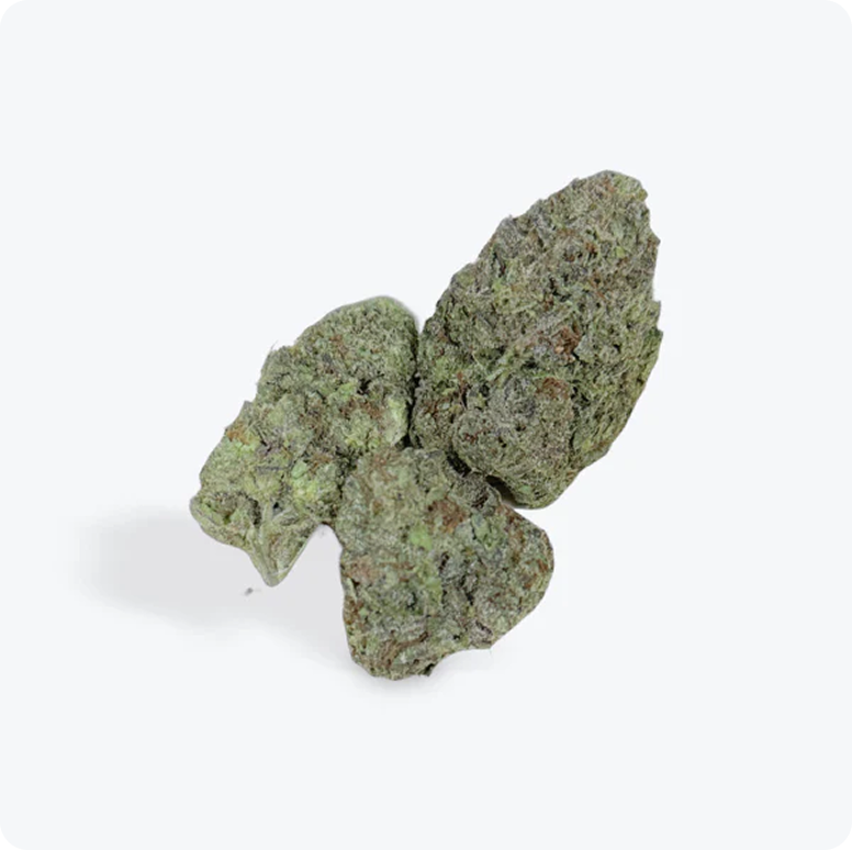 Apple Fritter