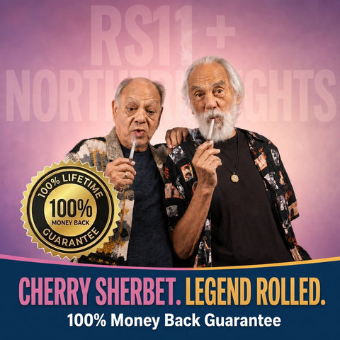 Blazers RS11 + Northern Lights Mini THCa Prerolls (5-pack, 3.75g TW)