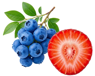 Mixed Berry