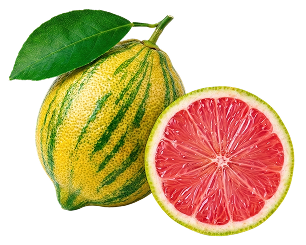 Pink Lemonade