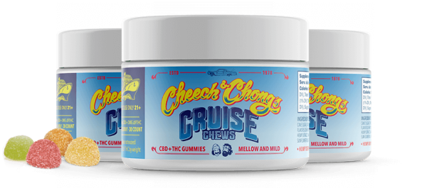 Three labeled containers of Cruise Chews CBD+THC gummies, displaying various flavors, with a few colorful gummy candies in front.
