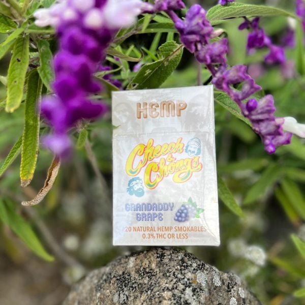 A close-up of a "Granddaddy Grape Hemp Cigarettes" packet, featuring a colorful design, nestled amidst vivid purple flowers and green foliage.