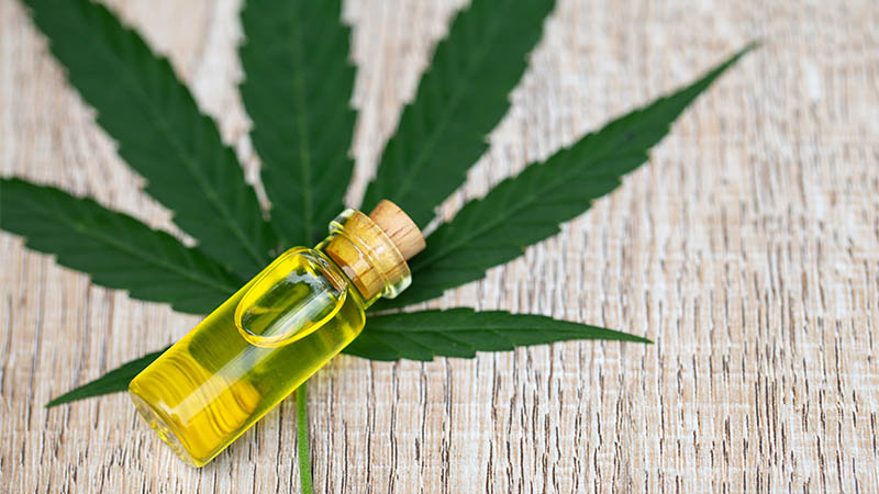 A small glass bottle of yellow CBD oil lying on a wooden surface, with a large, fresh cannabis leaf spread out underneath it. Will CBD oil get me high?