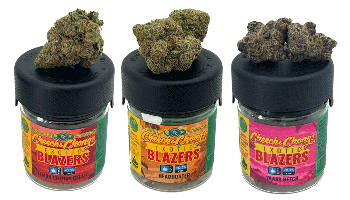 Three jars labeled "creeech choong's exotic blazers," featuring lab results for different cannabis strains on top, namely London Cherry Gelato, Headhunter, and Haas Betch, set